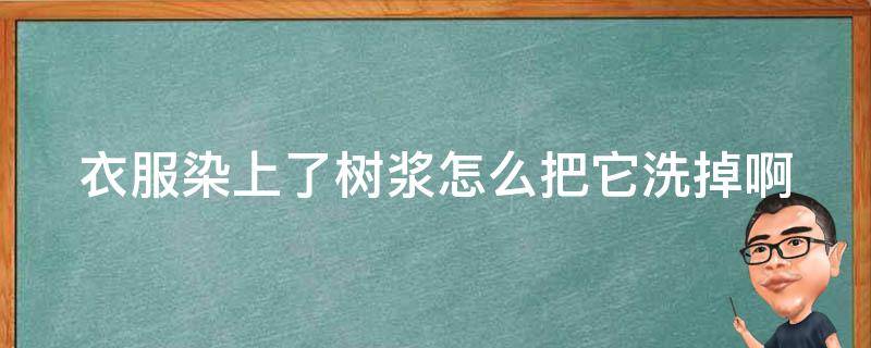 衣服染上了树浆怎么把它洗掉啊（衣服染上树汁液怎么能够去除）