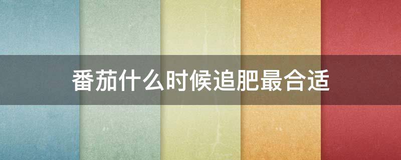 番茄什么时候追肥最合适（蕃茄什么时候追肥）