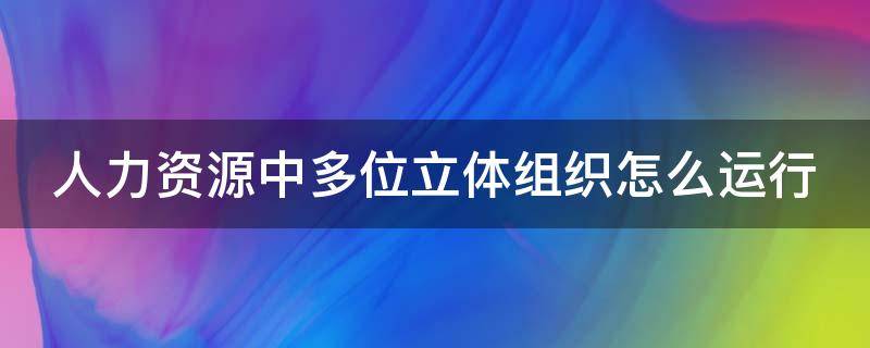 人力资源中多位立体组织怎么运行 多维立体组织结构的管理组织机构系统包括