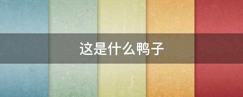 这是什么鸭子 是什么鸭子?