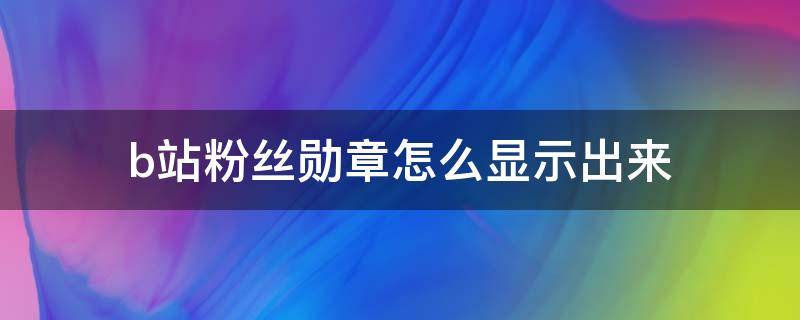 b站粉丝勋章怎么显示出来（b站粉丝勋章在哪显示）