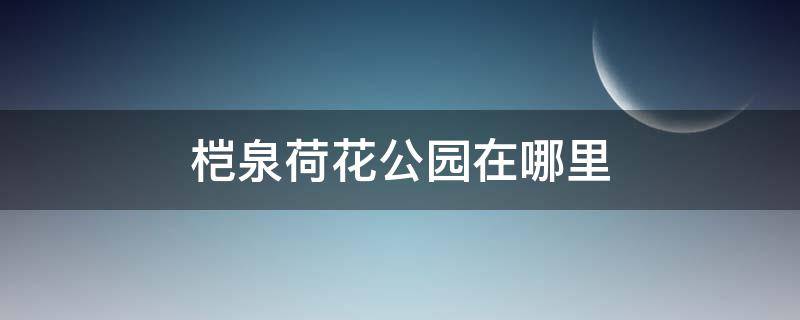 桤泉荷花公园在哪里（成都桤泉荷花公园自驾路线）