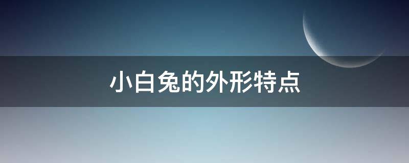 小白兔的外形特点 小白兔的外形特点简写60字