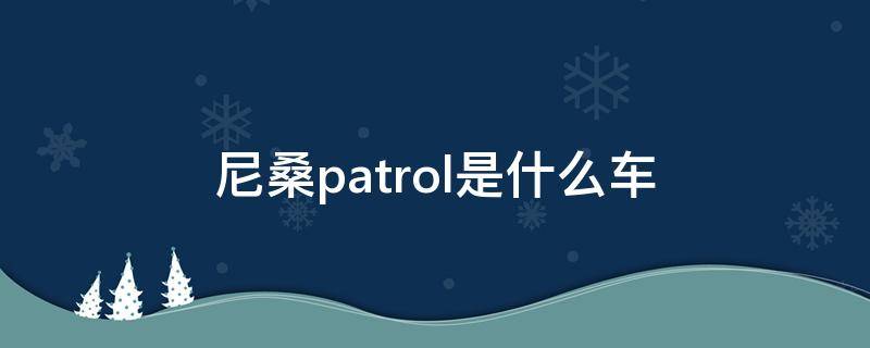 尼桑patrol是什么车（尼桑的patrol）