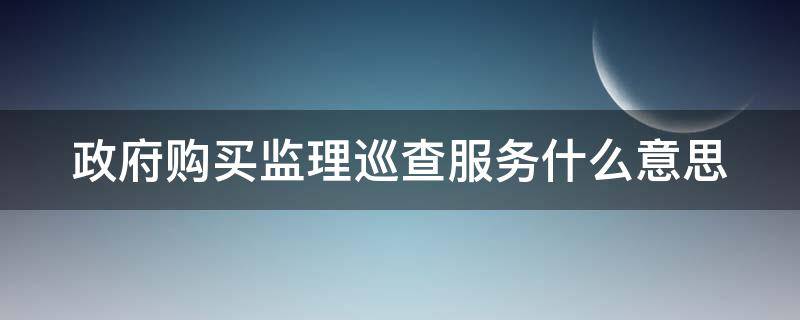 政府购买监理巡查服务什么意思（政府采购监理巡查服务）