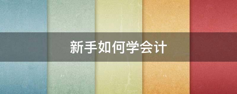 新手如何学会计 新手如何学会计基础知识