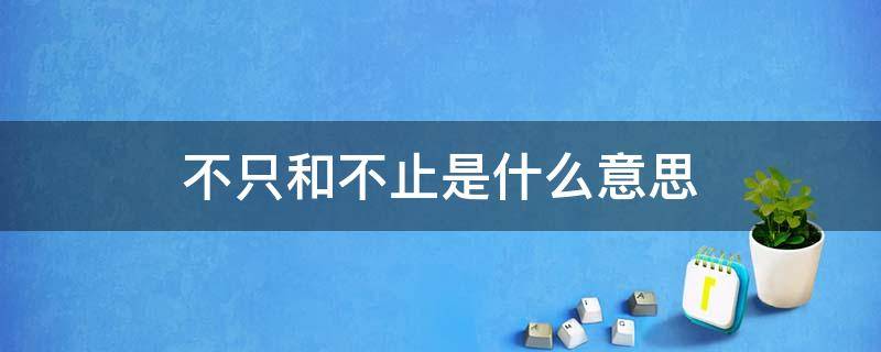 不只和不止是什么意思 不止和不只的区别造句