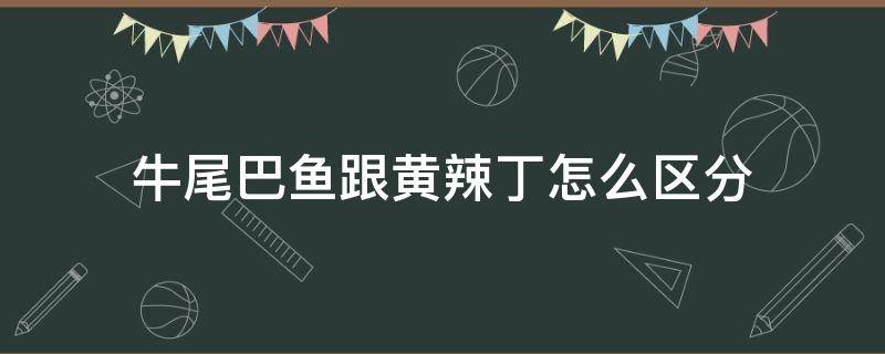 牛尾巴鱼跟黄辣丁怎么区分（牛尾巴和黄辣丁一样吗）