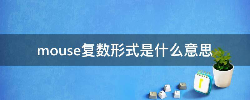 mouse复数形式是什么意思（mouse的复数形式百度文库）