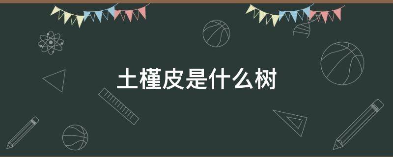 土槿皮是什么树 土槿皮是什么树的皮