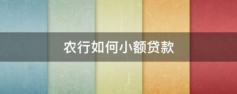 农行如何小额贷款 农行如何小额贷款