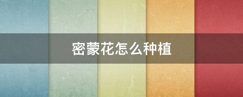 密蒙花怎么种植（密蒙花种植前景如何）