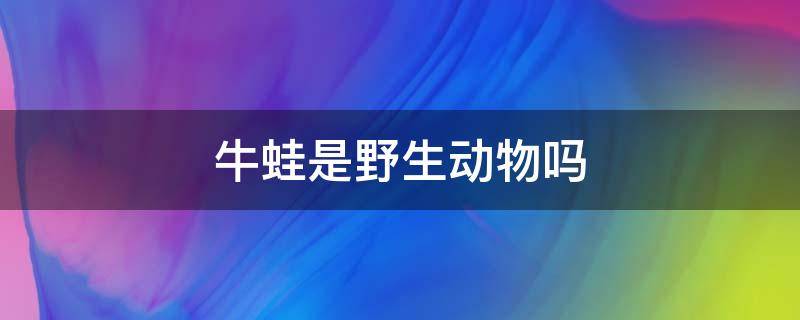 牛蛙是野生动物吗 牛蛙是野生动物吗为什么