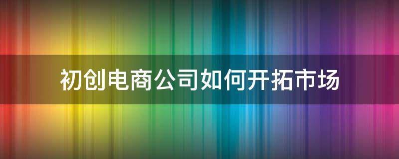 初创电商公司如何开拓市场（初创电商公司如何开拓市场销售）