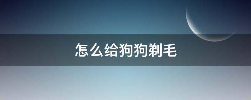 怎么给狗狗剃毛（怎么给狗狗剃毛教程）
