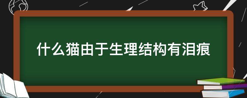 什么猫由于生理结构有泪痕 什么猫由于生理结构有泪痕的原因