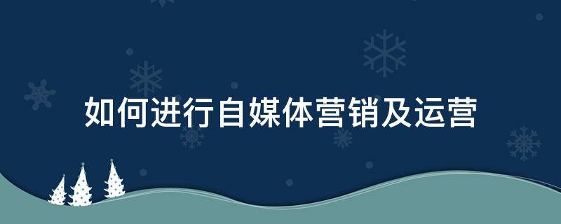 如何进行自媒体营销及运营（应该如何进行自媒体营销）