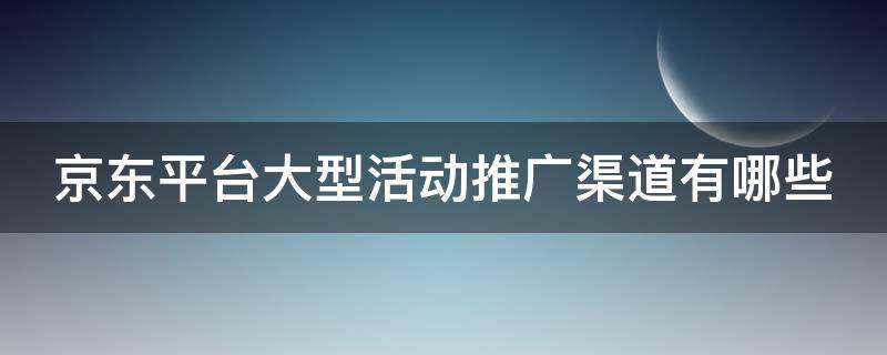 京东平台大型活动推广渠道有哪些（京东促销推广在哪里）