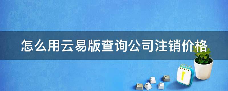 怎么用云易版查询公司注销价格