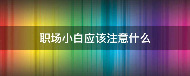 职场小白应该注意什么（职场小白需要具备的能力）