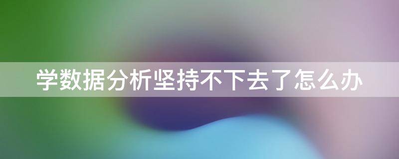 学数据分析坚持不下去了怎么办（学数据分析有用吗）