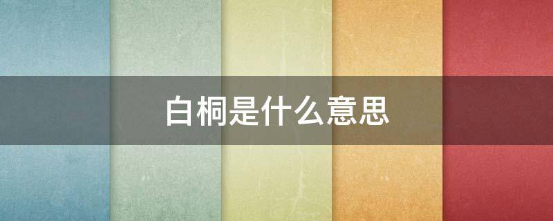 白桐是什么意思（白桐树图片）