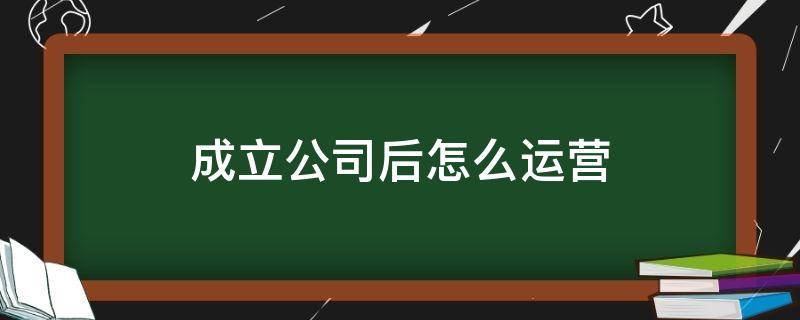 成立公司后怎么运营（成立公司后怎么运营营业执照）