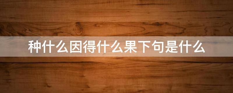 种什么因得什么果下句是什么（种什么因得什么果句子）