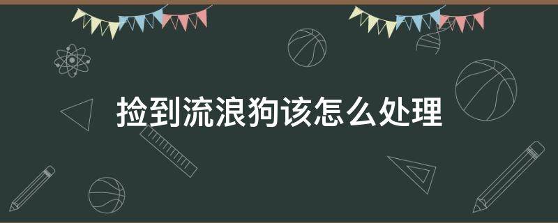 捡到流浪狗该怎么处理（流浪狗打110还是12345）