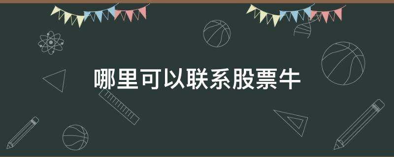哪里可以联系股票牛（怎么找牛股票）