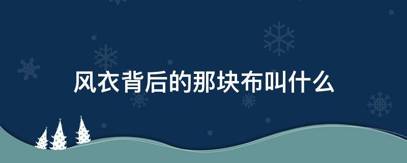 风衣背后的那块布叫什么（风衣背后的那块布叫什么牌子）