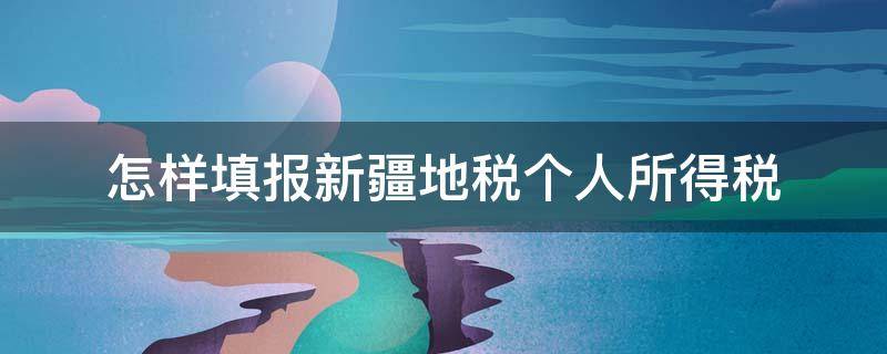 怎样填报新疆地税个人所得税 新疆个人所得税app税务申报