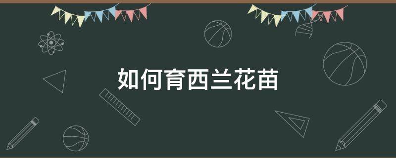 如何育西兰花苗 育西兰花苗子怎么育