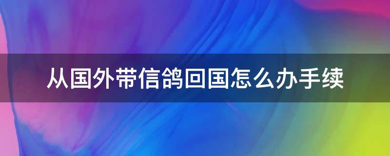 从国外带信鸽回国怎么办手续（飞到国外喂鸽子）