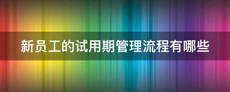 新员工的试用期管理流程有哪些 新员工的试用期管理流程有哪些内容