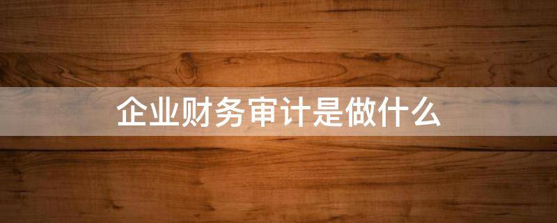 企业财务审计是做什么 对公司财务审计