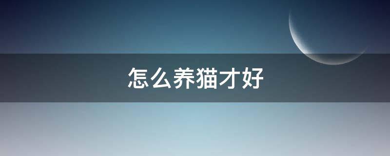 怎么养猫才好 怎么养猫才好看