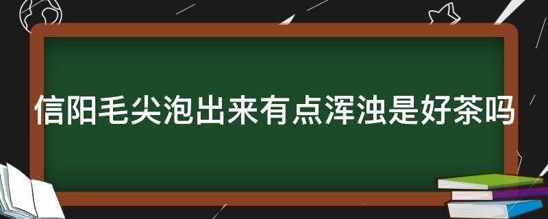 信阳毛尖泡出来有点浑浊是好茶吗（信阳毛尖茶水为什么浑浊）