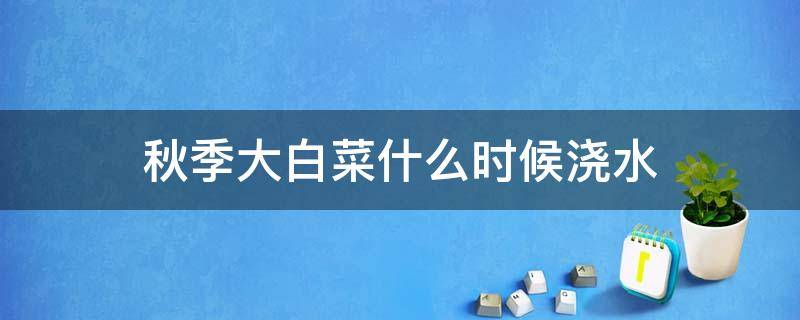 秋季大白菜什么时候浇水 秋季大白菜什么时候浇水最好