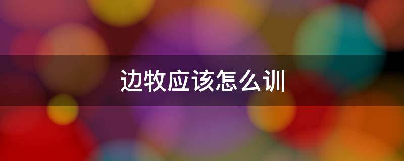边牧应该怎么训（边牧应该怎么训养）