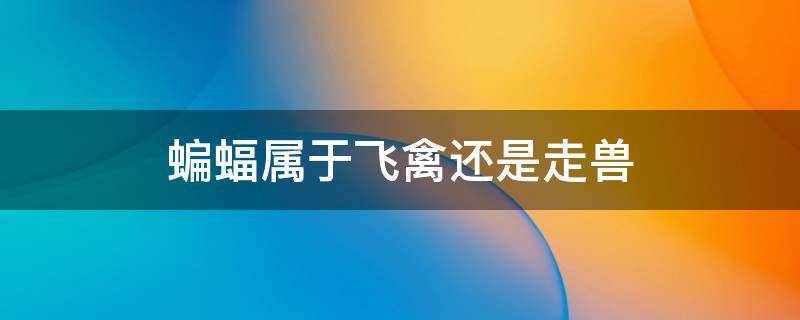 蝙蝠属于飞禽还是走兽 蝙蝠属于飞禽走兽吗