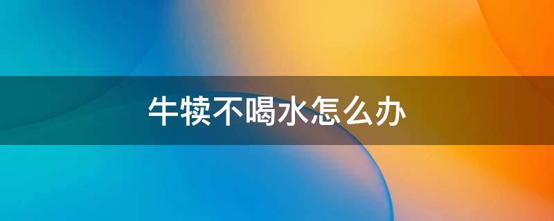 牛犊不喝水怎么办 牛犊不喝水怎么办视频