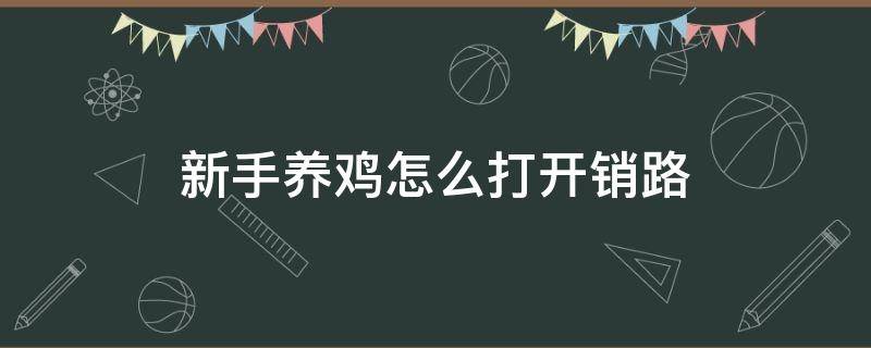 新手养鸡怎么打开销路 养鸡初步开始怎样弄