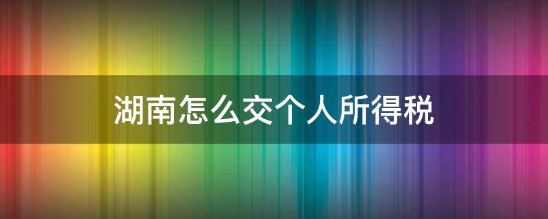 湖南怎么交个人所得税 湖南省个税怎么网上申报