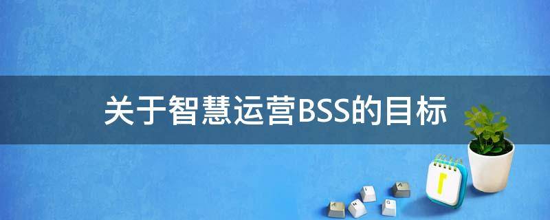 关于智慧运营BSS的目标（智慧运营的目的）