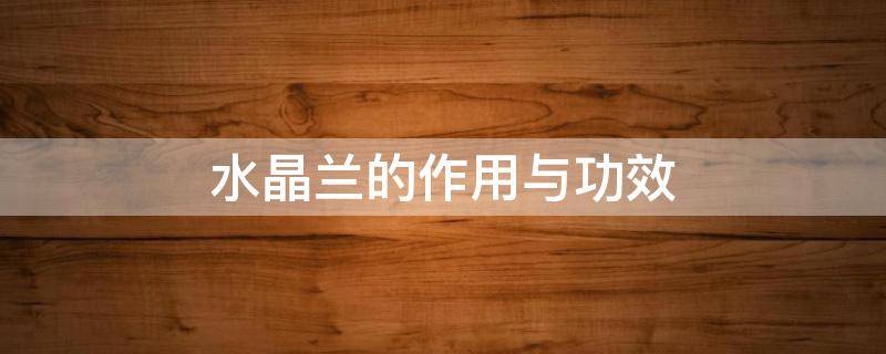 水晶兰的作用与功效（水晶兰的作用与功效禁忌）