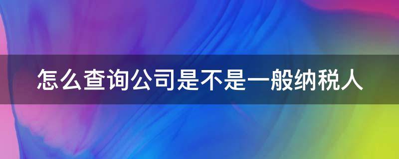 怎么查询公司是不是一般纳税人（怎么查询公司是不是一般纳税人呢）
