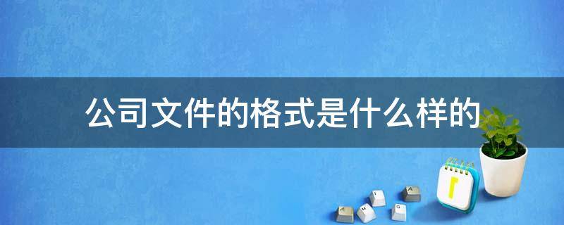 公司文件的格式是什么样的 公司文件格式书写范本