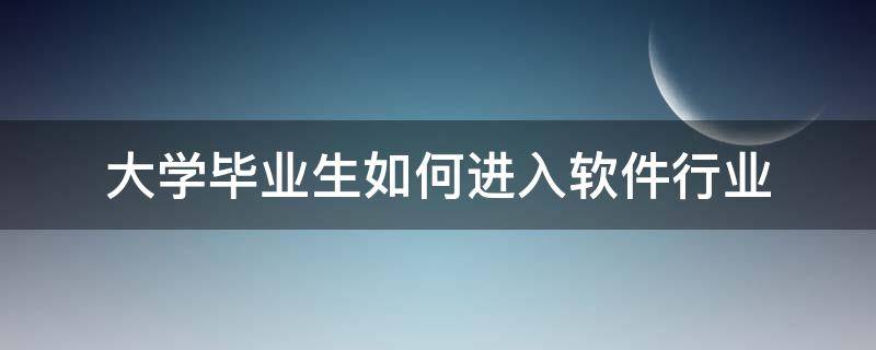 大学毕业生如何进入软件行业（软件工程大学生怎么找项目做）