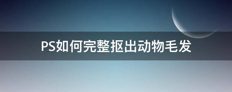 PS如何完整抠出动物毛发（ps如何完整抠出动物毛发图案）